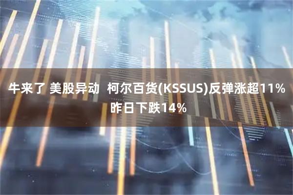 牛来了 美股异动  柯尔百货(KSSUS)反弹涨超11% 昨日下跌14%