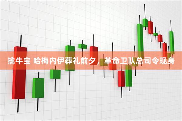 擒牛宝 哈梅内伊葬礼前夕,革命卫队总司令现身