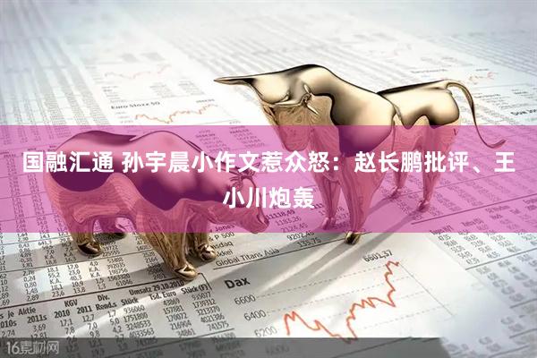 国融汇通 孙宇晨小作文惹众怒：赵长鹏批评、王小川炮轰